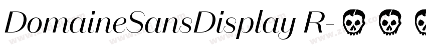 DomaineSansDisplay R字体转换